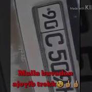 Mulla Buva 2 509