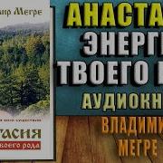 Владимир Мегре Анастасия Энергия Твоего Рода Том I