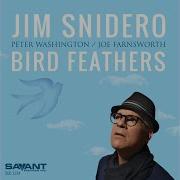 Jim Snidero Bird Feathers