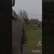 Ты Здесь Главный На Районе