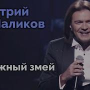 Бумажный Змей Маликов