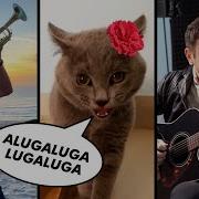 Luga Luga Cat Rap Edit