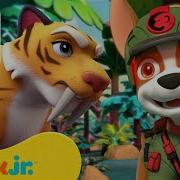 Paw Patrol On A Roll Rescue Carlos In The Jungle Щенячий Патруль