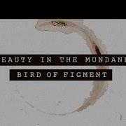 Beauty In The Mundane Bird Of Figment Ft Cody Francis