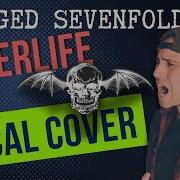 Avenged Sevenfold Afterlife Vocal And Guitar Cover