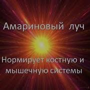 Учение Аркадия Петрова Древо Жизни Зодиакальные Лучи Вита Луч