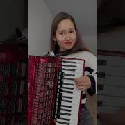 Accordeon Hits Красивые Инструментальные Мелодии