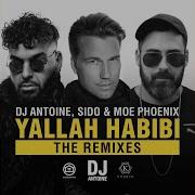 Yallah Habibi Dj Antoine Vs Mad Mark Hands Up Mix