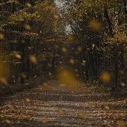 Rustling Of Leaves
