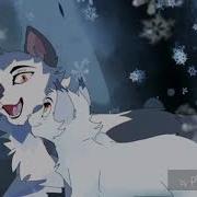 Коты Воители Я Люблю Тебя