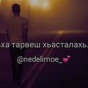 Кхинаг Везаш Дагца Лехна Соьха Тарвеш Хьасталахь