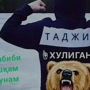 Бехтарин Суруди Эрони Нав Amin Habibi Биё Ишкам Биё Инчо 2019
