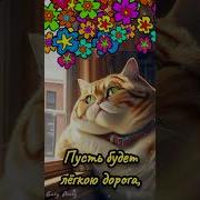 Пожелания Доброго Дня
