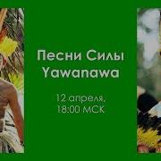 Песни Силы Yawanawa