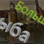Русская Рыбалка 4 Russian Fishing 4 Bunessan Picker Pf98Xh Бюджетная Наживка Обычный Червь