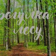Музыка Для Прогулок В Лесу