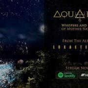 Mother Nature Aquaria
