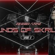 Skrillex Friends Best Drops Ever Mix