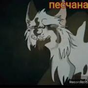 Листопад Коты Воители Клип Слеза