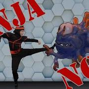 Ninja Music