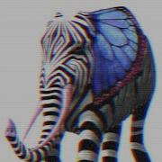 Indian Vibes Gian Nobilee Douth