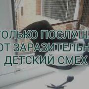 Сорока Разговаривает И Смеётся Как Ребёнок Говорящие Сороки