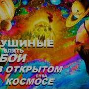 Петушиные Блять Бои В Откртом Космосе