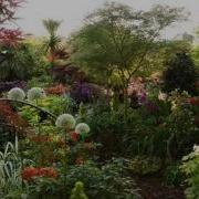 An English Country Garden