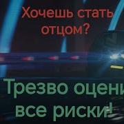 Мишс Борз Максимально