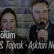 Feride Toprak Kırgın Çiçekler