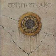 Whitesnake Children Of The Night