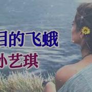 流泪的飞蛾