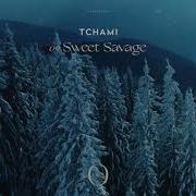 Tchami Sweet Savage Feat Ant Clemons