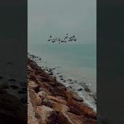Бо Ту Бояд Дел Бе Дарё Зад