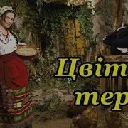 Украинская Народная Песня Цвите Терен