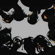 A Ap Rocky Distorted Records