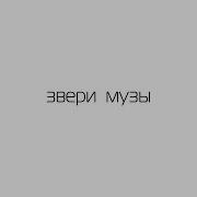Хочу Тебя Звери