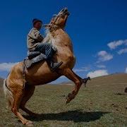 Асов От Ва Чавандоз