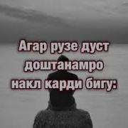 Песная Диля Лубоф