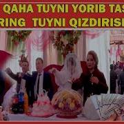 Mister Qaha Tuyni Yorib Tashladi Buni Kurmay Armonda Qolmang Ana Tuy