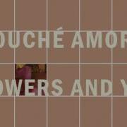 Touché Amoré Flowers And You