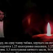 И Оно Стерео Курю Дерево