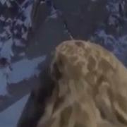 Стих Про Смерть