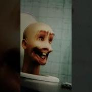 Жаренный Скибидист