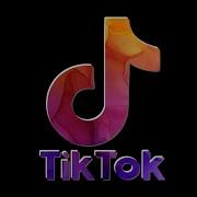 Dj Precise Barbie Girl Tik Tok Remix