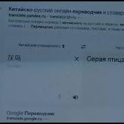 Серая Птица На Китайском