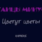 Цветут Цветы Караоке