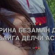 Чеченская Песня Малик Тухигов
