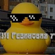 Scp 1356 Резиновая Уточка