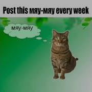 Post This Мяу Мяу Every Week 1 Hour